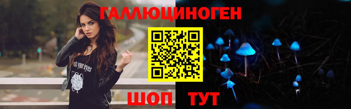 Галлюциногенные грибы Psilocybine cubensis Краснокаменск